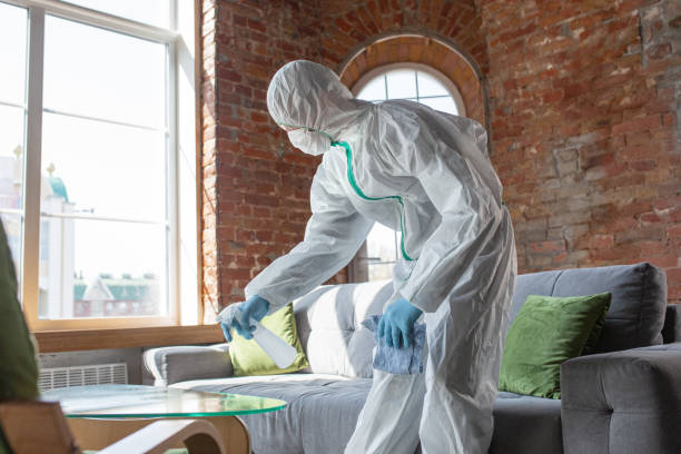 Why You Should Choose Our Mold Remediation Services in Murrysville, PA